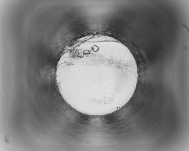 X0000103900321200810171620