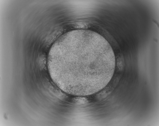 X0000103900322200810171620