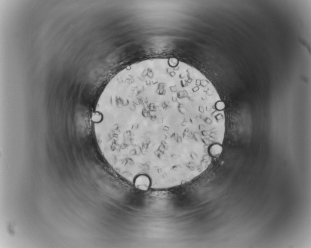 X0000103900324200810171620