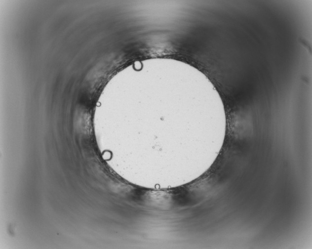 X0000103900327200810171620