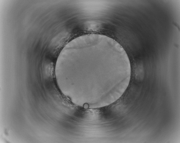 X0000103900328200810171620