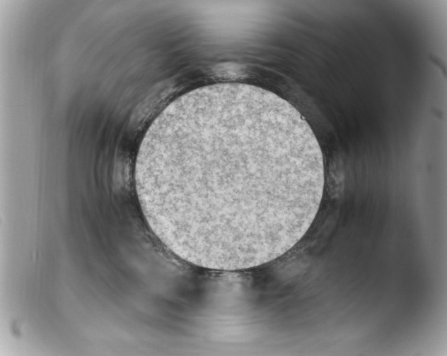 X0000103900330200810171620