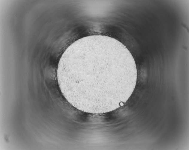 X0000103900331200810171620