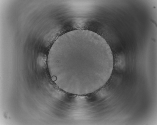 X0000103900332200810171620