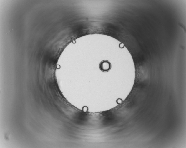 X0000103900333200810171620