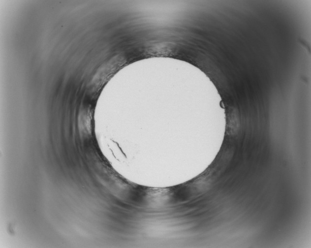 X0000103900334200810171620