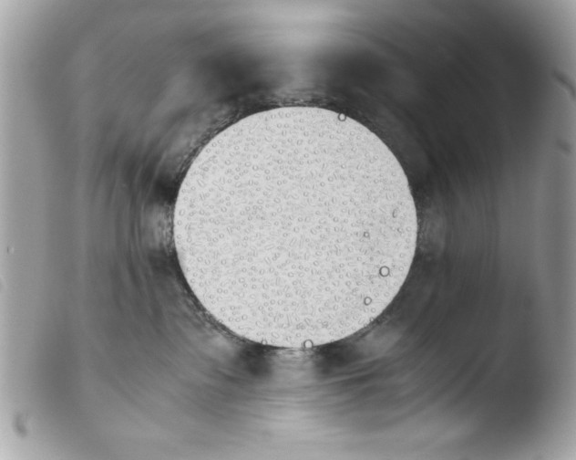 X0000103900335200810171620