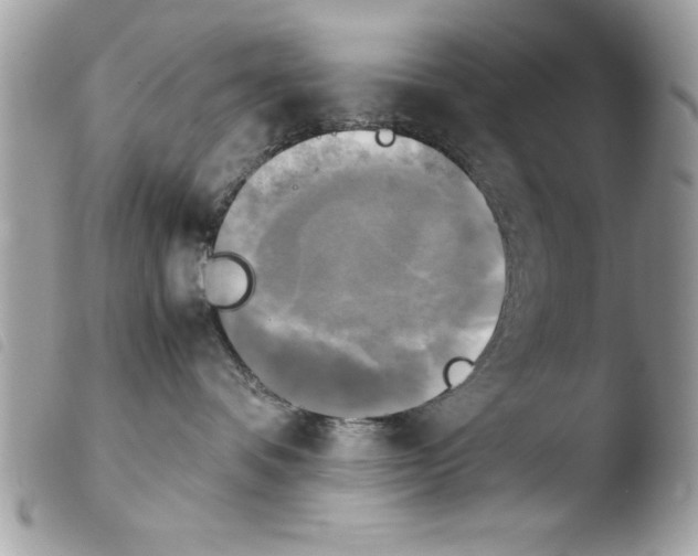 X0000103900336200810171620