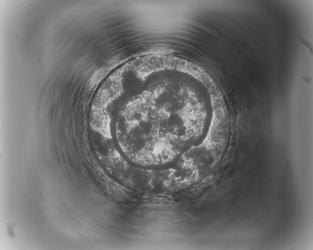 X0000103900337200810171619