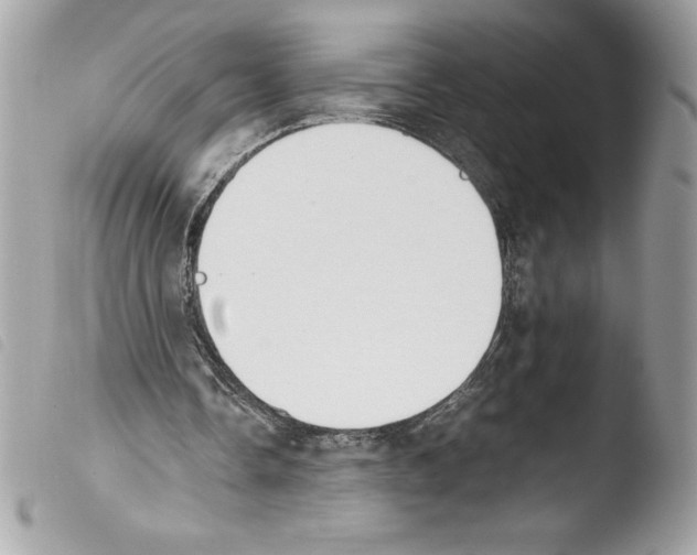 X0000103900338200810171619