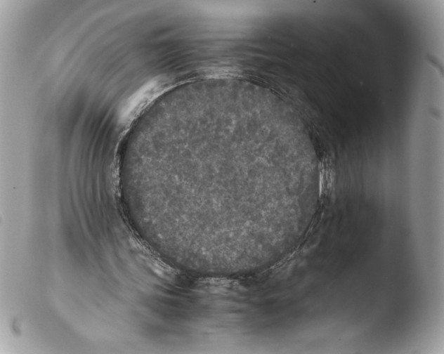 X0000103900339200810171619