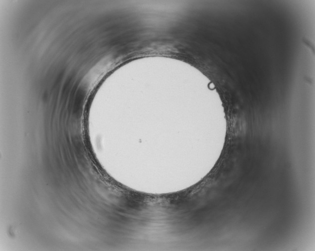 X0000103900340200810171619