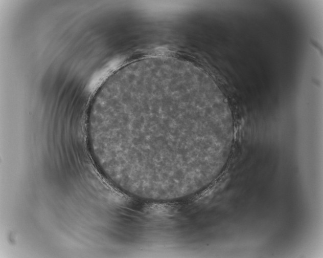 X0000103900341200810171619