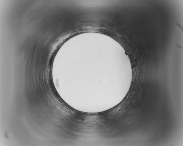 X0000103900342200810171619