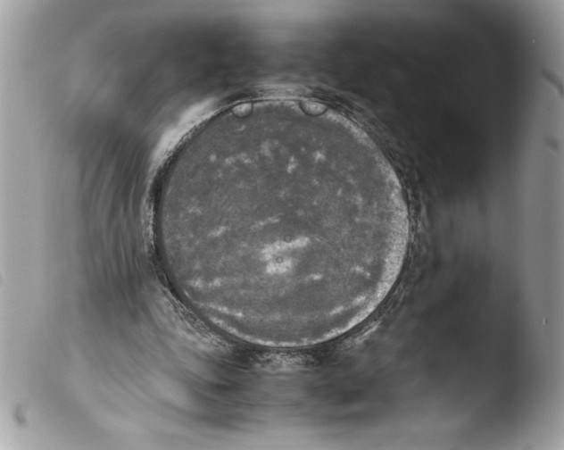 X0000103900343200810171619