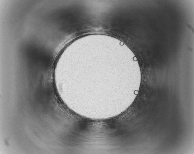 X0000103900344200810171619