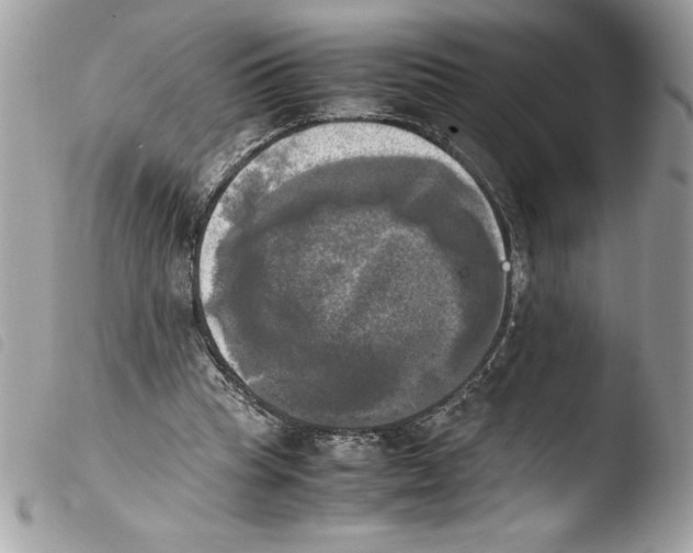 X0000103900345200810171619