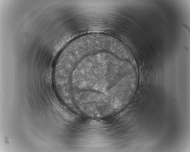 X0000103900346200810171619