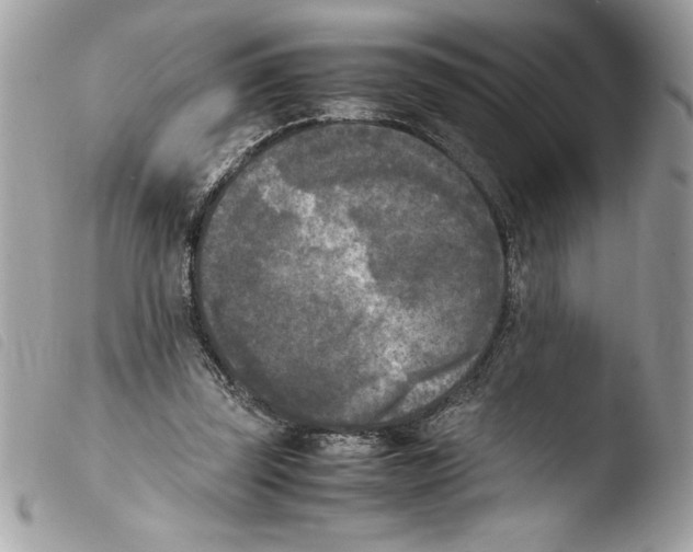 X0000103900347200810171619