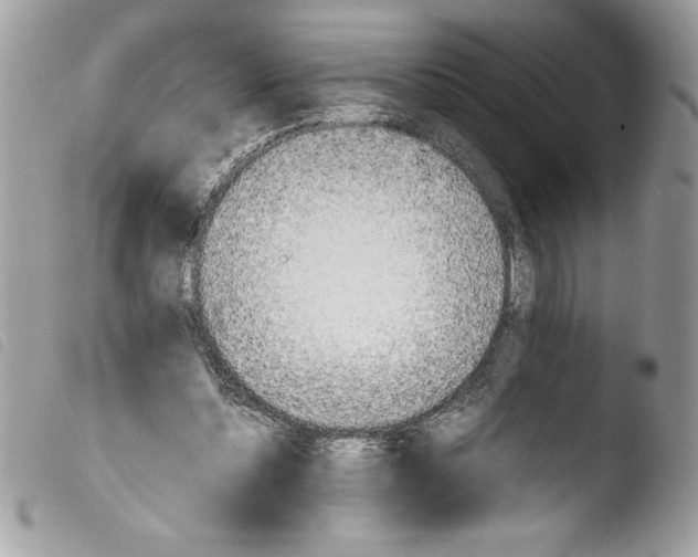 X0000103900348200810171619