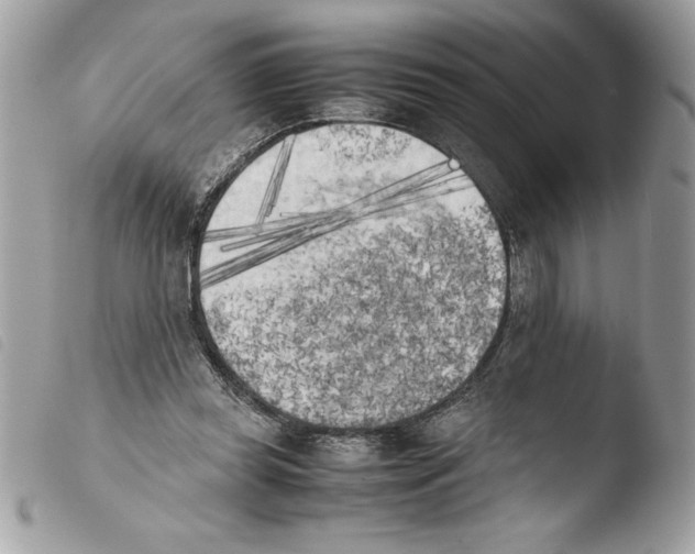 X0000103900349200810171619