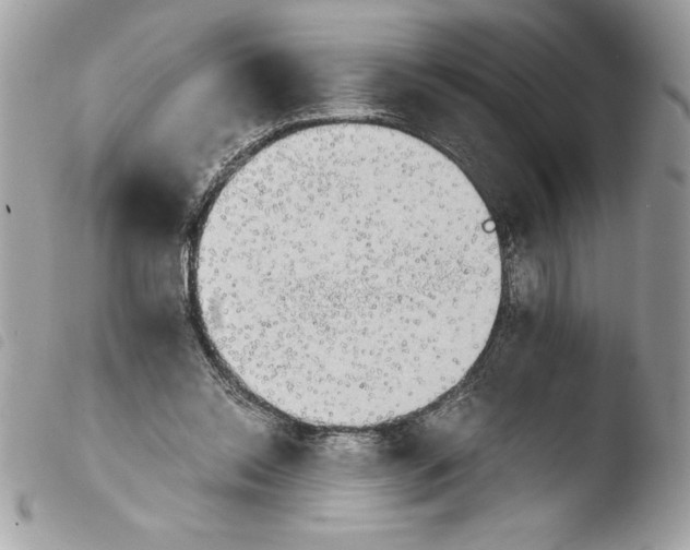 X0000103900350200810171619