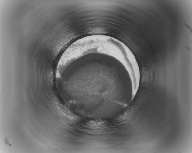 X0000103900351200810171619