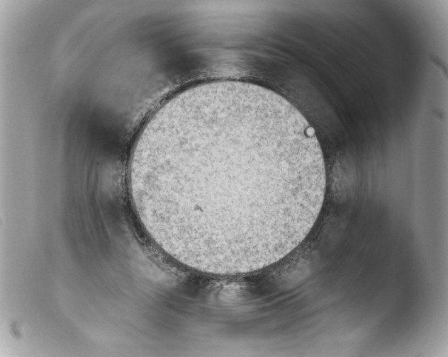 X0000103900352200810171619