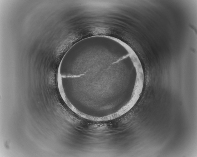 X0000103900353200810171619