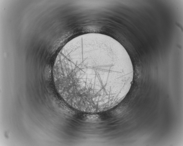 X0000103900355200810171619