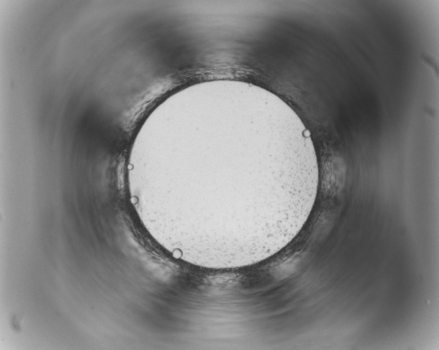 X0000103900356200810171619