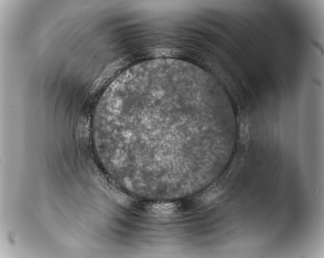 X0000103900357200810171619