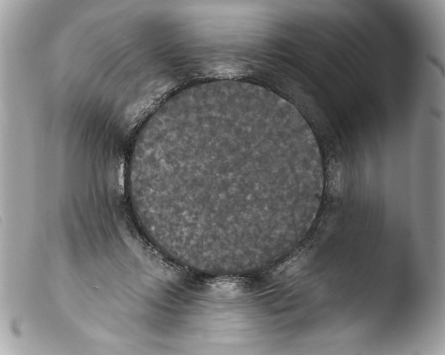 X0000103900358200810171619