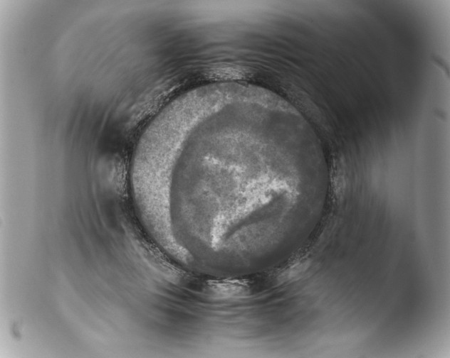 X0000103900359200810171619