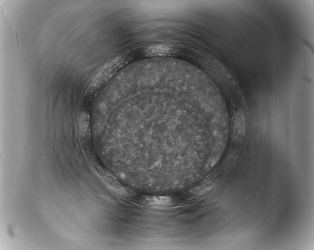 X0000103900361200810171619