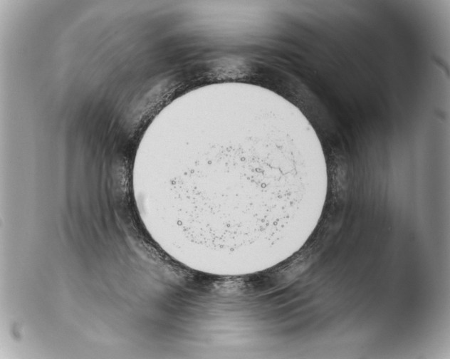 X0000103900362200810171619