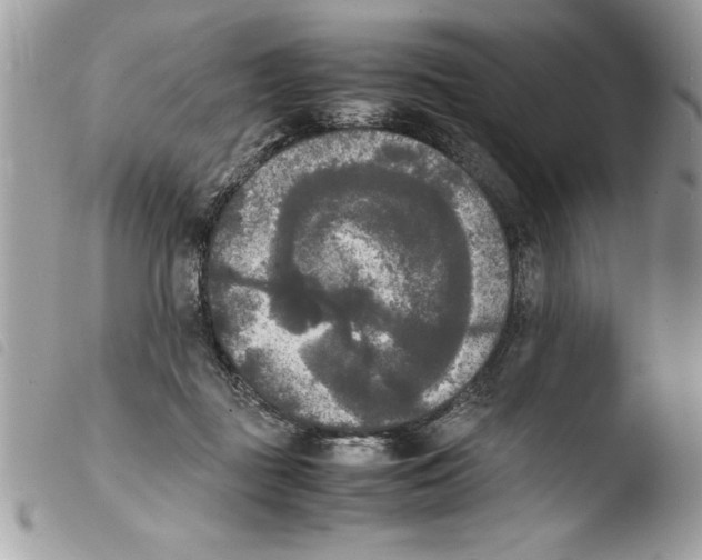 X0000103900363200810171619