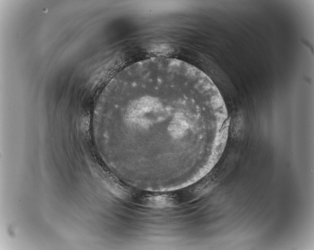 X0000103900365200810171619