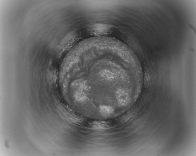 X0000103900367200810171620