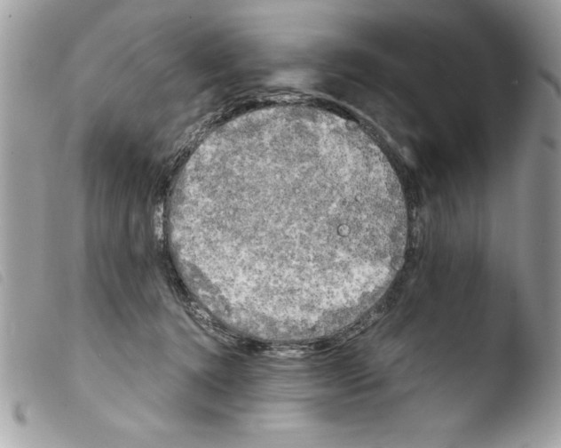 X0000103900368200810171620