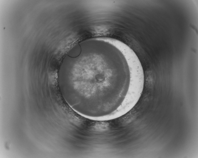 X0000103900369200810171620