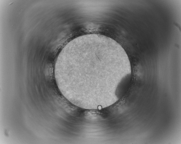 X0000103900372200810171620