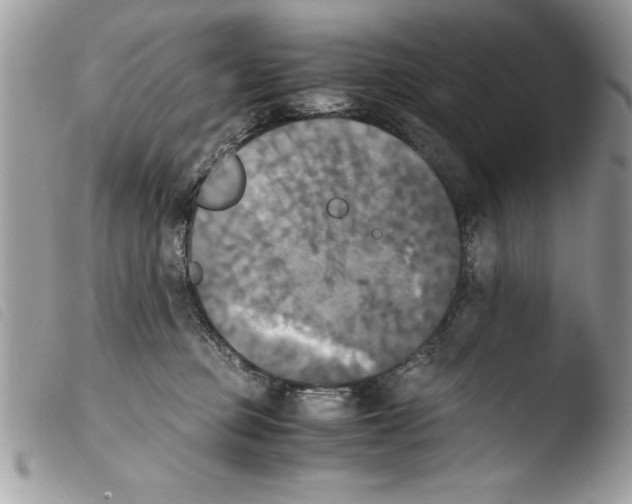 X0000103900373200810171620