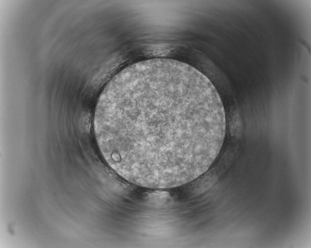 X0000103900374200810171620