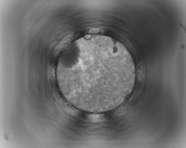 X0000103900375200810171620