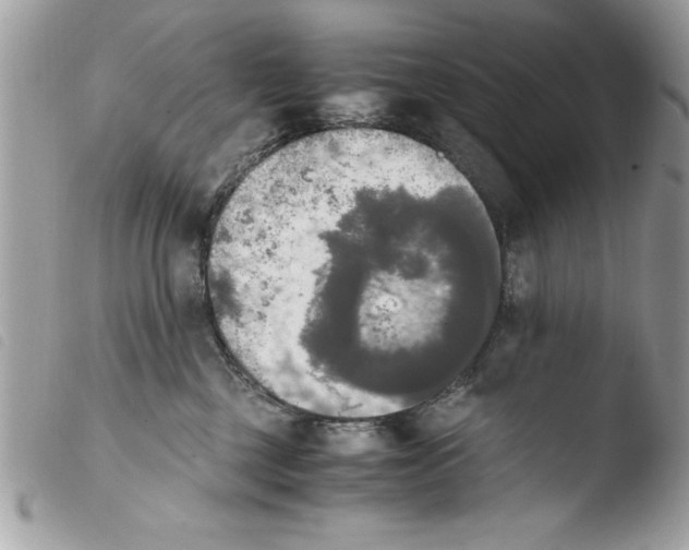 X0000103900377200810171620