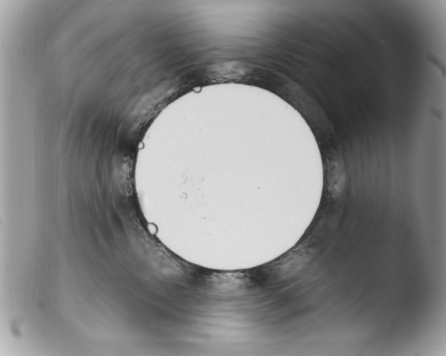 X0000103900378200810171620