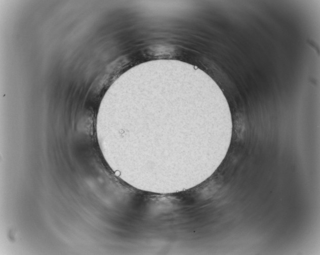 X0000103900379200810171620