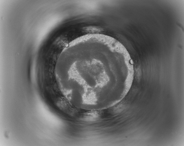 X0000103900381200810171620