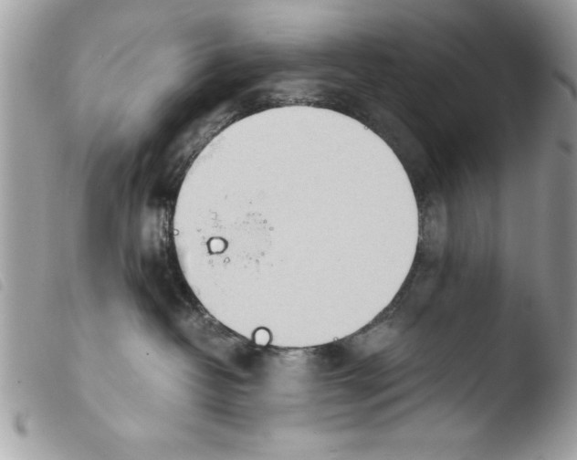 X0000103900382200810171620